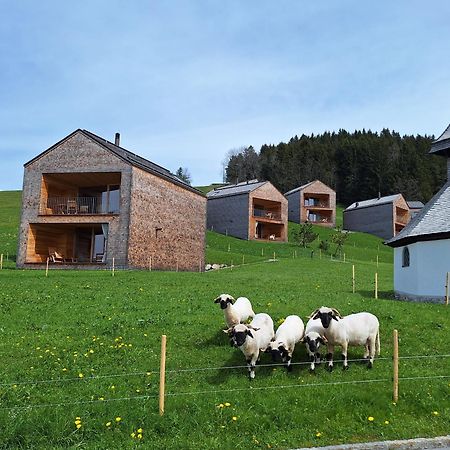 Apartment Rheintal Im Alpenvorland Batschuns Εξωτερικό φωτογραφία