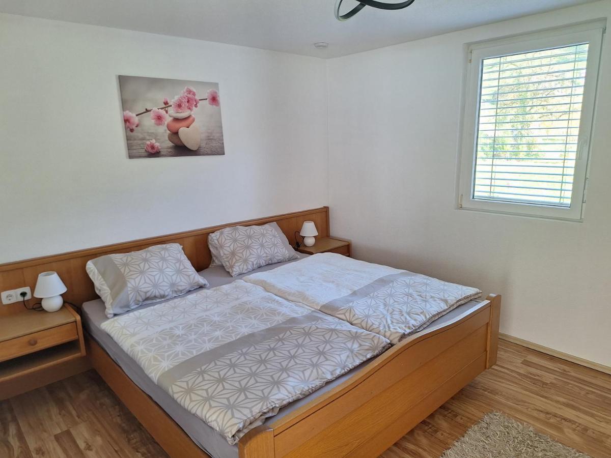 Apartment Rheintal Im Alpenvorland Batschuns Εξωτερικό φωτογραφία
