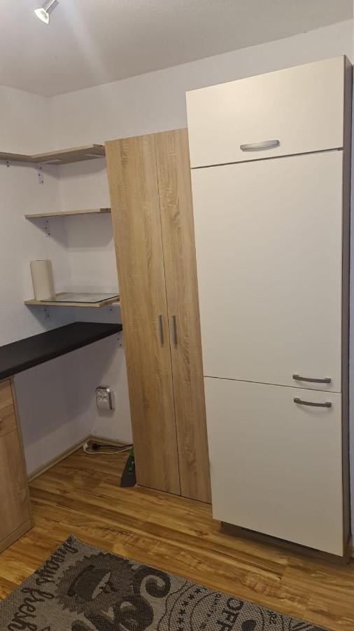 Apartment Rheintal Im Alpenvorland Batschuns Εξωτερικό φωτογραφία