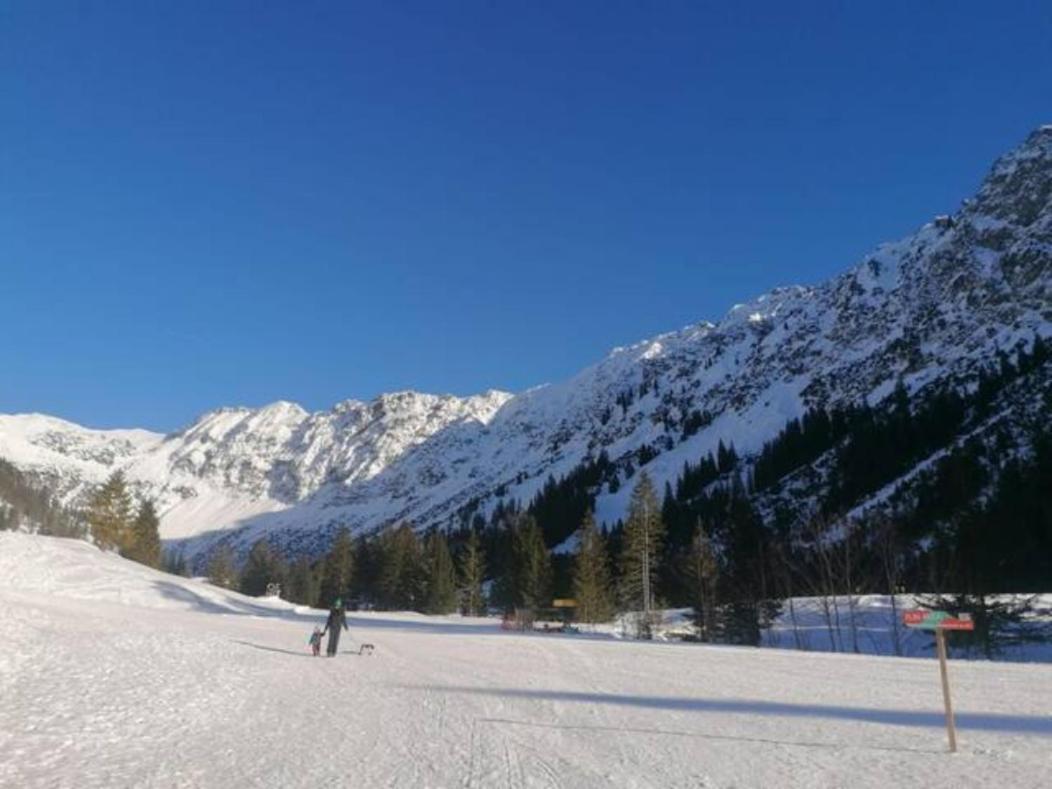 Apartment Rheintal Im Alpenvorland Batschuns Εξωτερικό φωτογραφία