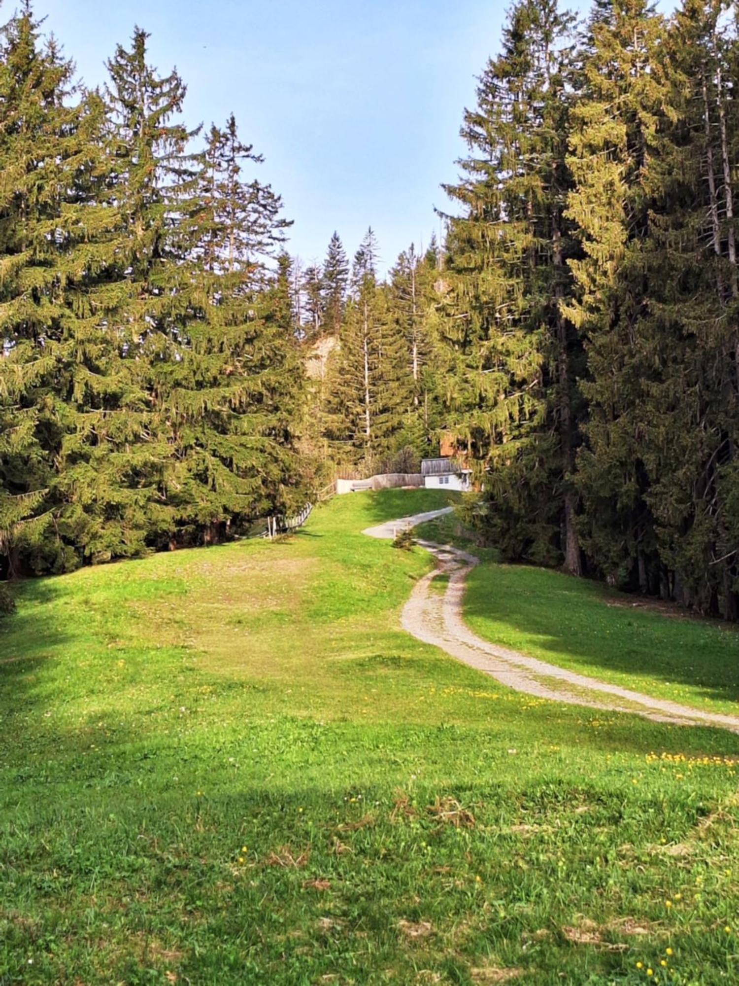 Apartment Rheintal Im Alpenvorland Batschuns Εξωτερικό φωτογραφία
