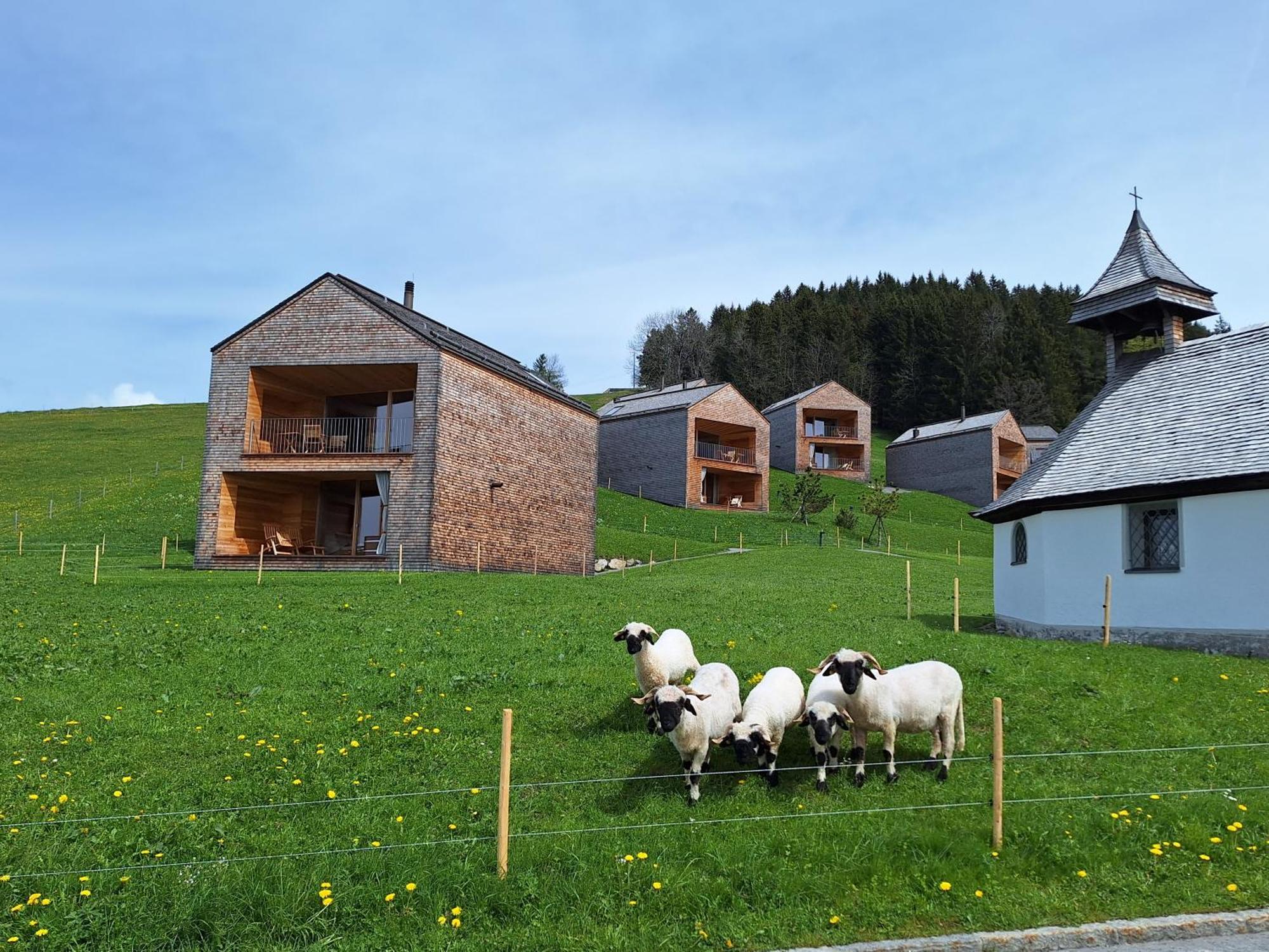 Apartment Rheintal Im Alpenvorland Batschuns Εξωτερικό φωτογραφία
