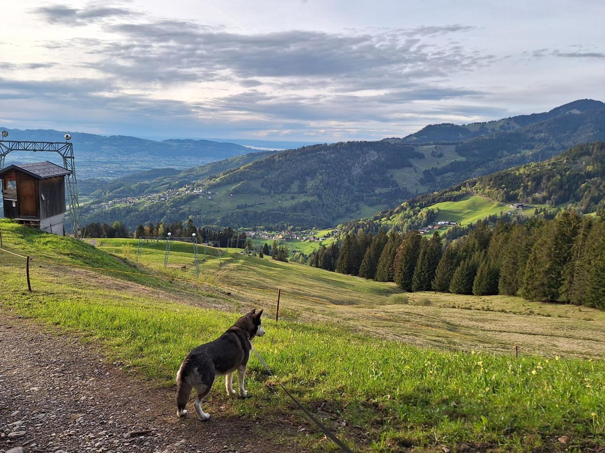 Apartment Rheintal Im Alpenvorland Batschuns Εξωτερικό φωτογραφία