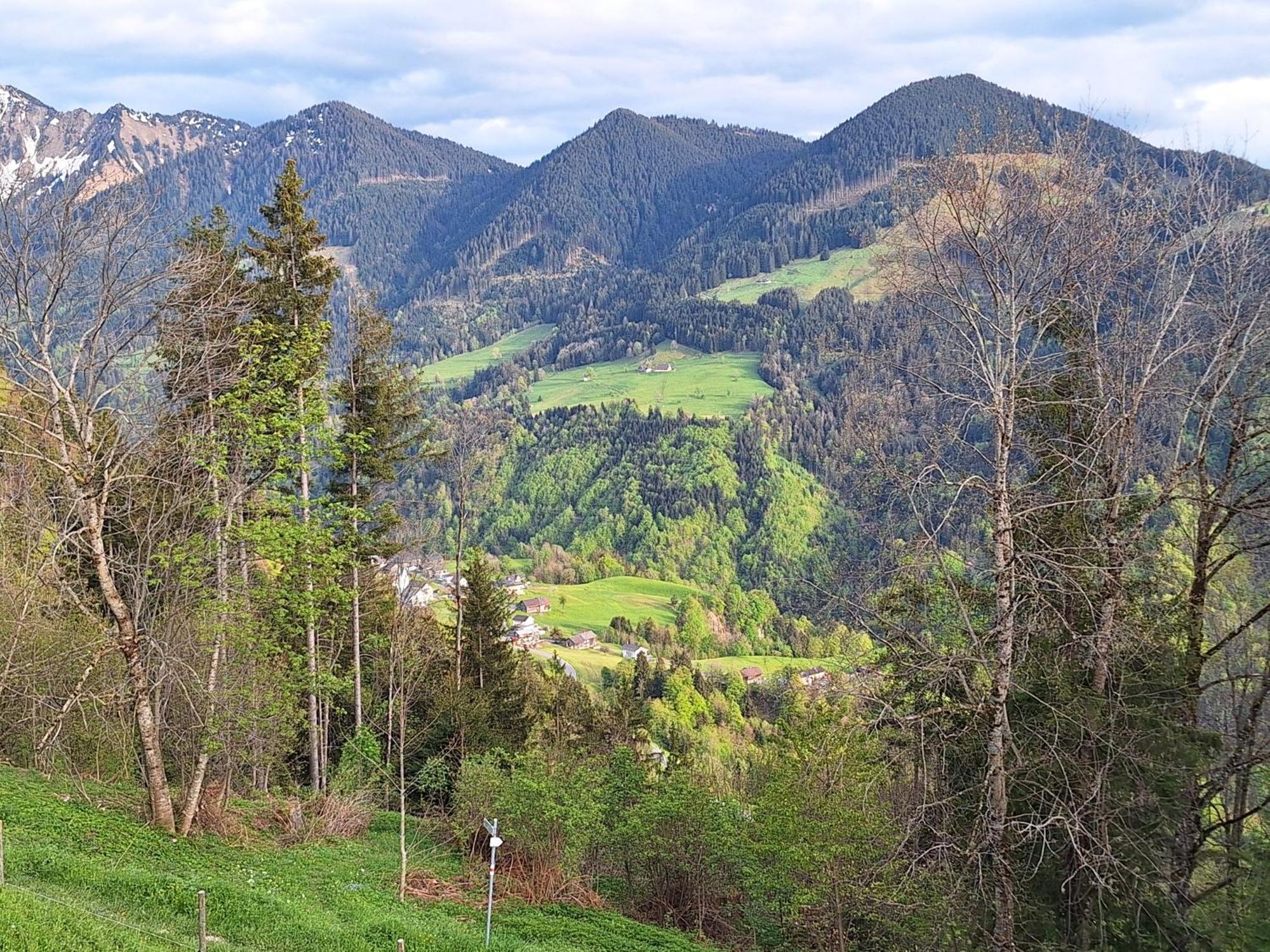 Apartment Rheintal Im Alpenvorland Batschuns Εξωτερικό φωτογραφία