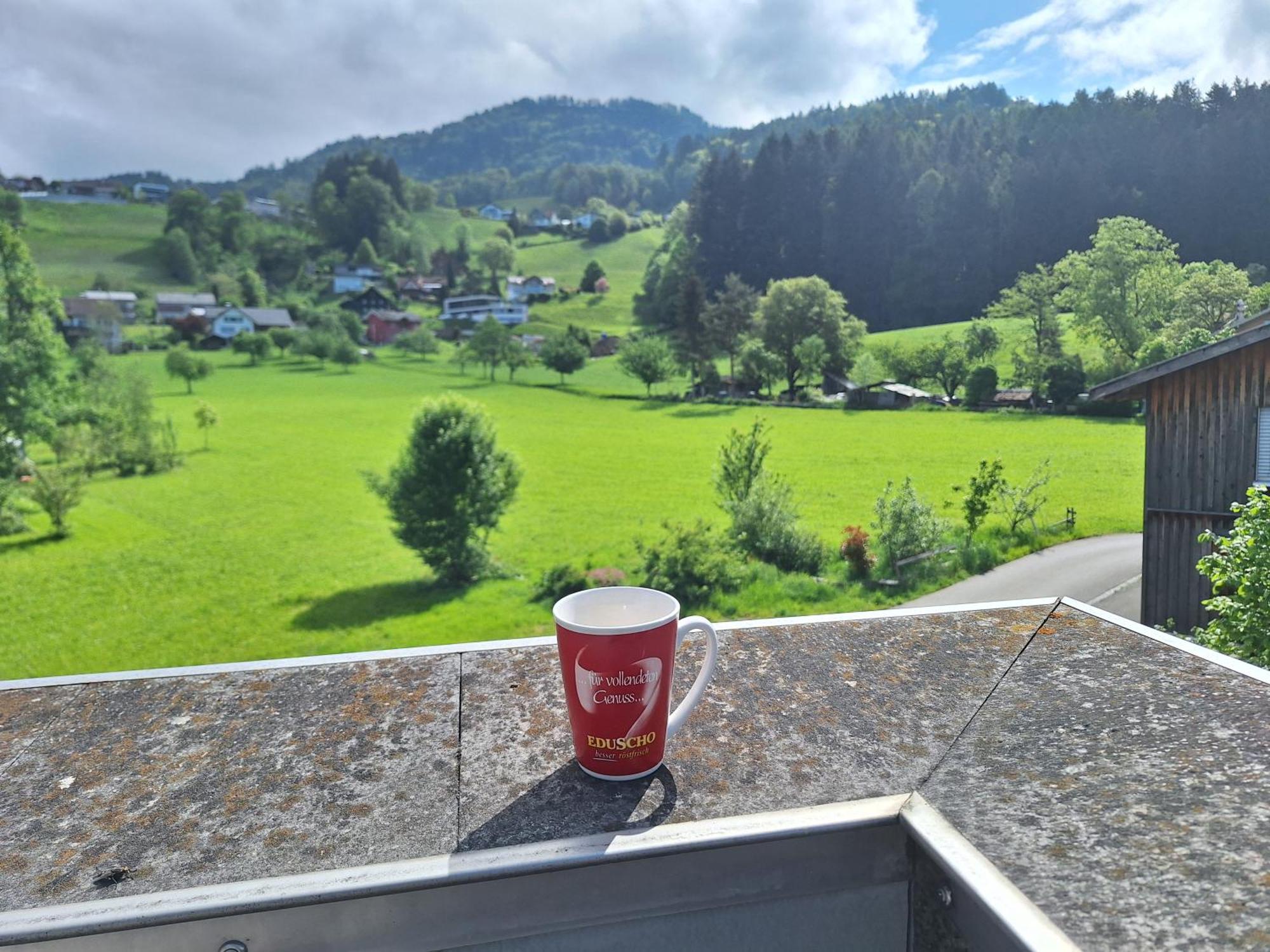 Apartment Rheintal Im Alpenvorland Batschuns Εξωτερικό φωτογραφία