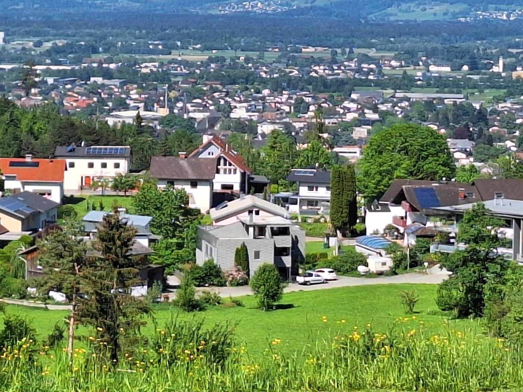 Apartment Rheintal Im Alpenvorland Batschuns Εξωτερικό φωτογραφία