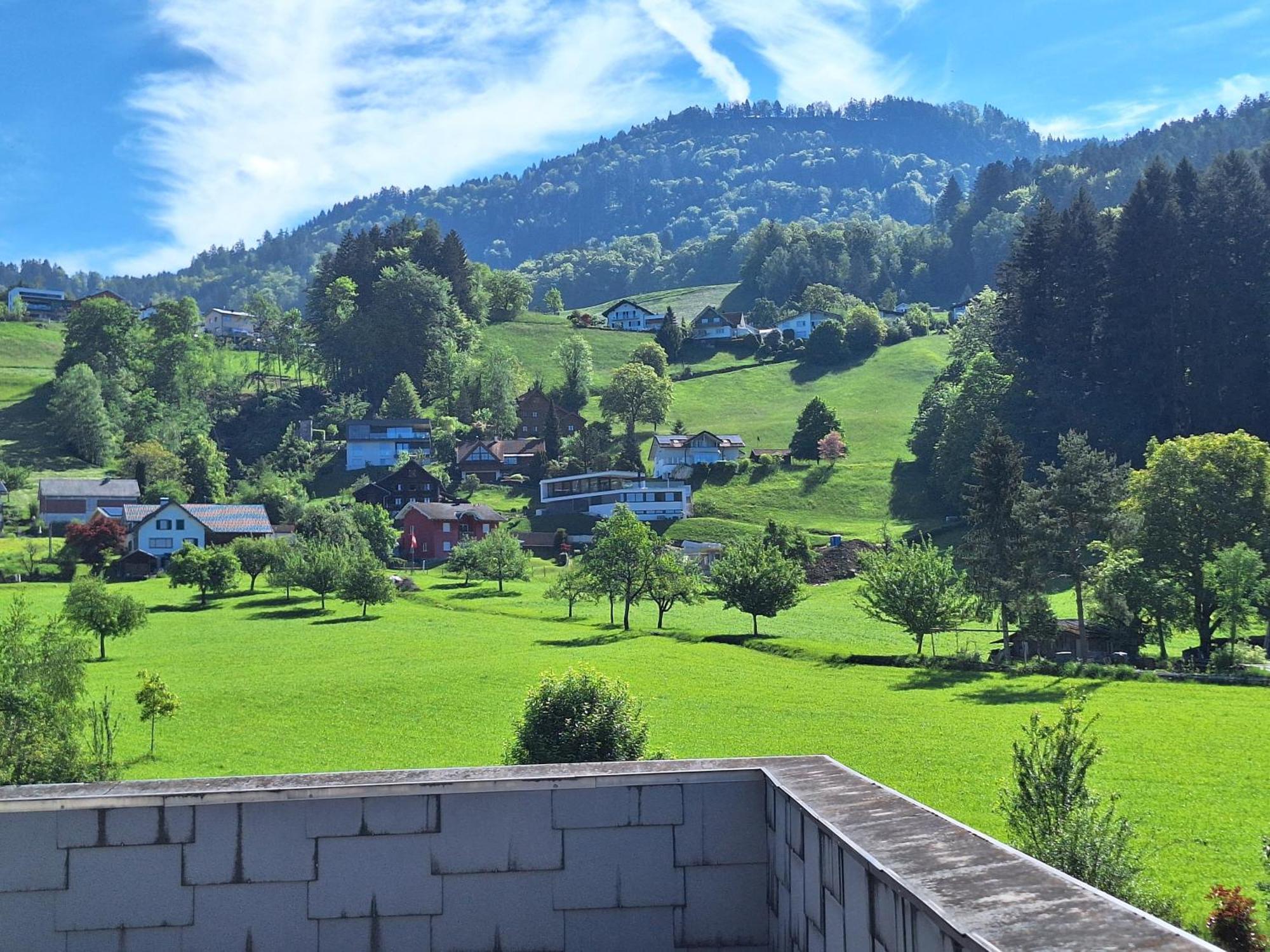 Apartment Rheintal Im Alpenvorland Batschuns Εξωτερικό φωτογραφία